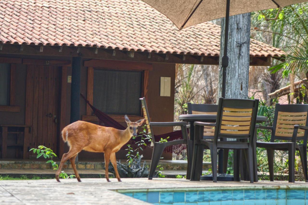 Aymara Lodge Poconé Exteriör bild